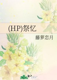 (HP)祭憶