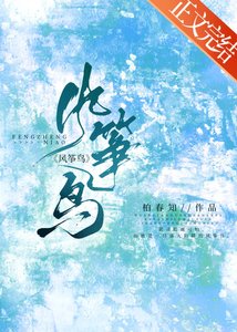风筝鸟