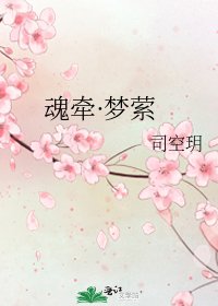 魂牵·梦萦